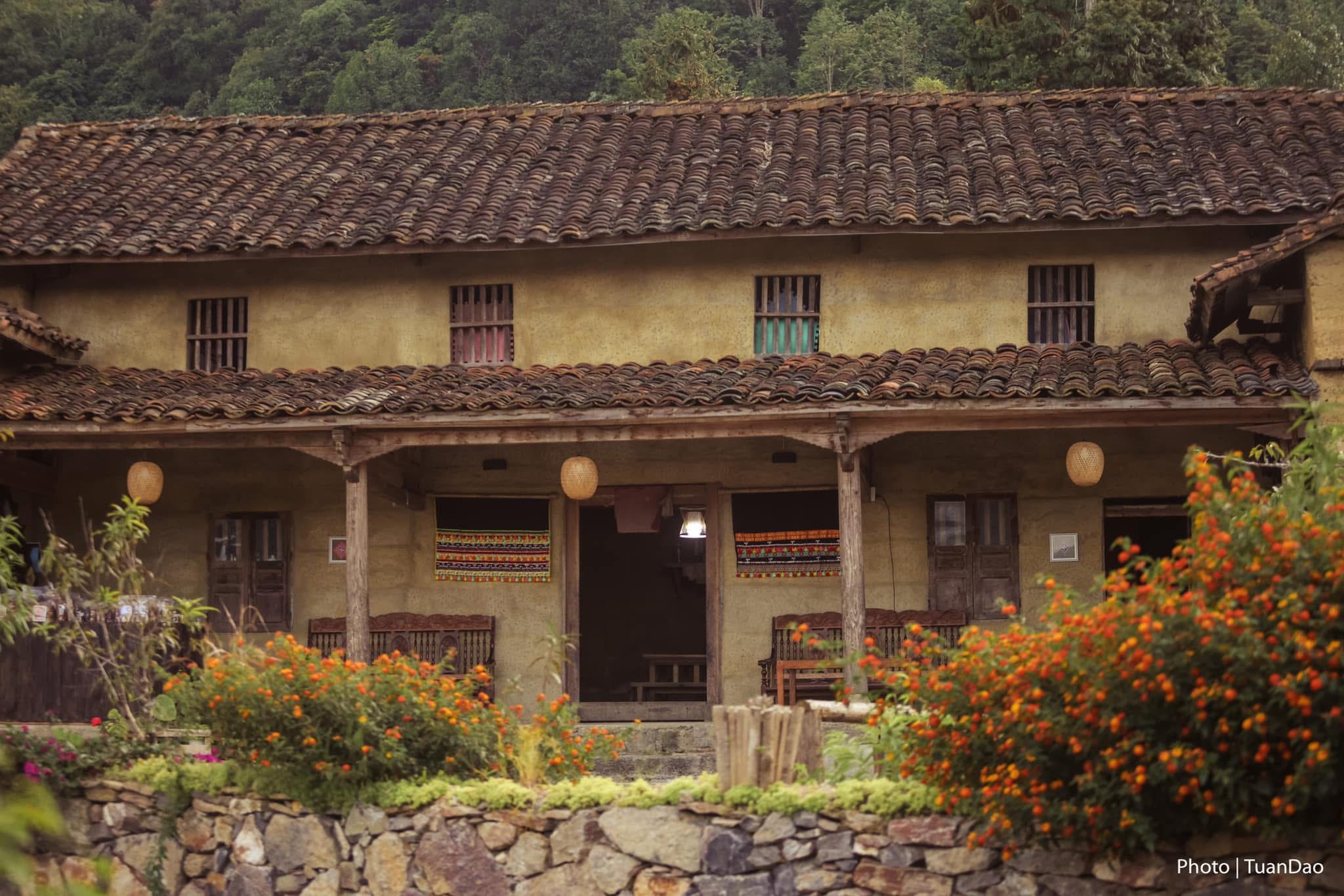 lo lo chai ha giang