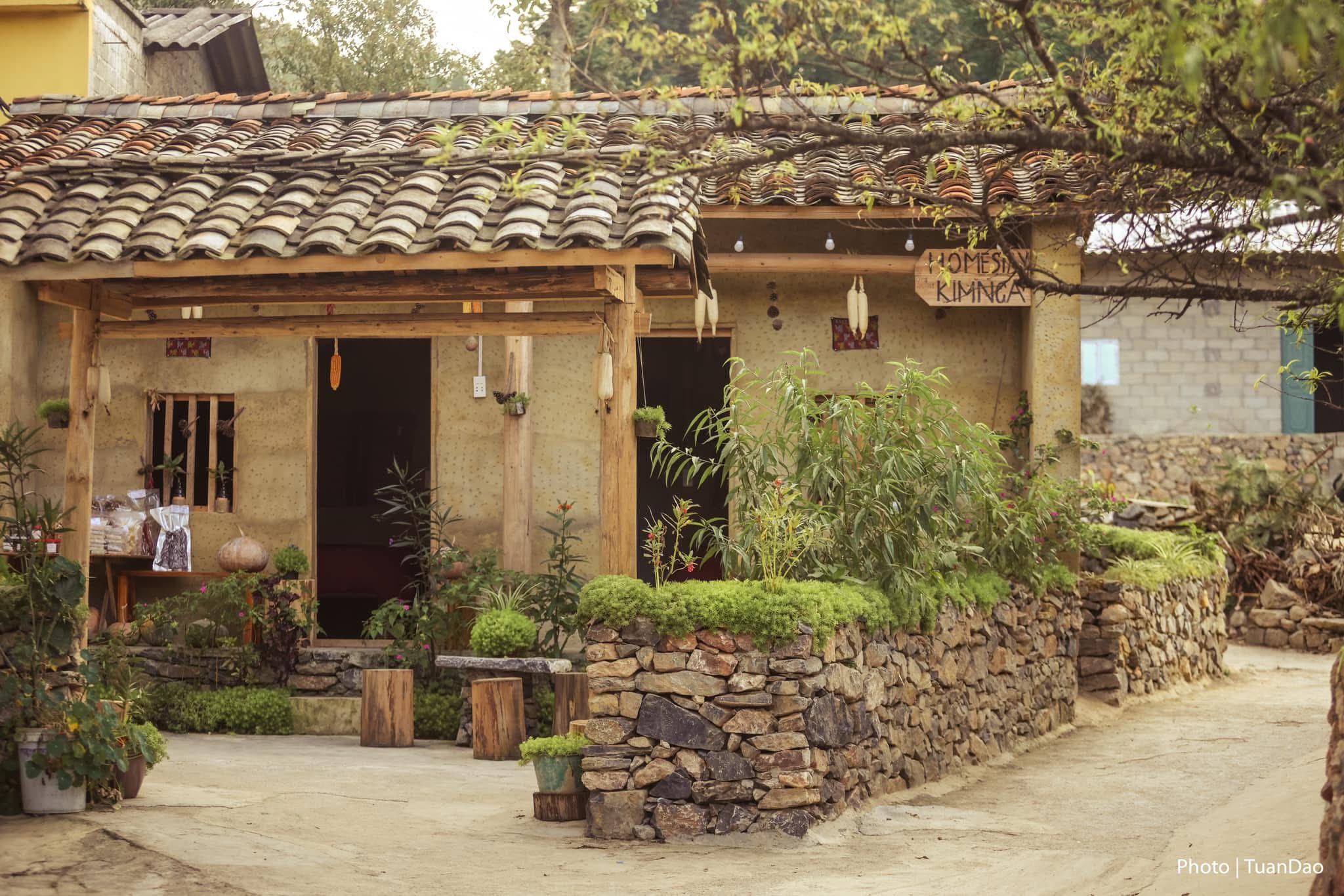 lo lo chai ha giang