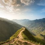 sống lưng khủng long tà xùa