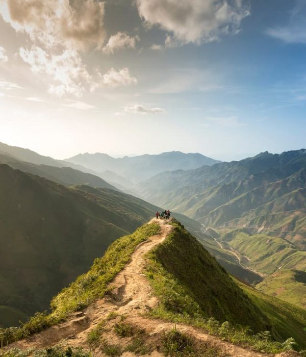 sống lưng khủng long tà xùa